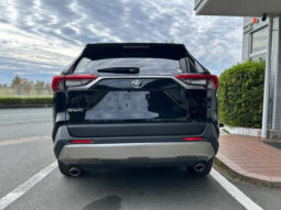 
										2024 TOYOTA RAV4 G 4WD full									