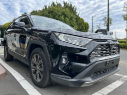 
										2024 TOYOTA RAV4 G 4WD full									