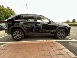 
										2024 TOYOTA RAV4 G 4WD full									