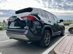 
										2024 TOYOTA RAV4 G 4WD full									