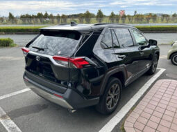 
										2024 TOYOTA RAV4 G 4WD full									