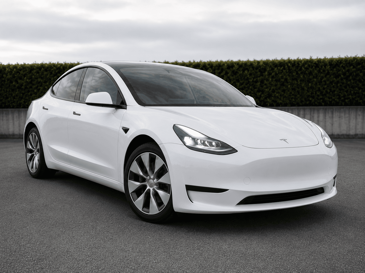 2024 TESLA MODEL Y RWD