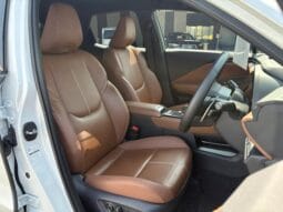 
										2024 LEXUS LBX RELAX #26798 full									