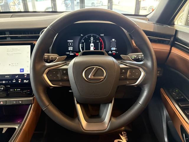 2024 LEXUS LBX RELAX #26798