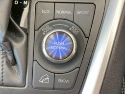 
										2023 TOYOTA RAV4 G Z PACKAGE #26796 full									