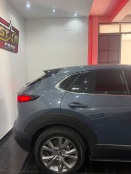 
										2021 MAZDA CX-30 20S PROACTIVE TOURING SELECTION #26793 full									