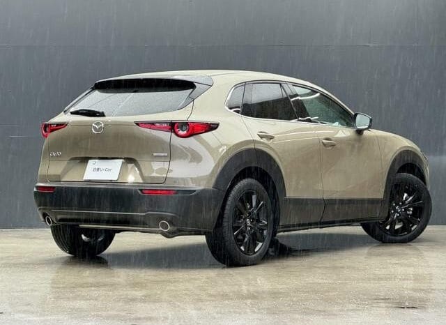
								2025 MAZDA CX-30 2.0 20S RETRO SPORT ETE #26788 full									