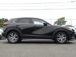 
										2023 MAZDA CX-30 20S PRO ACTIVE #26892 full									