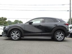 
										2023 MAZDA CX-30 20S PRO ACTIVE #26892 full									