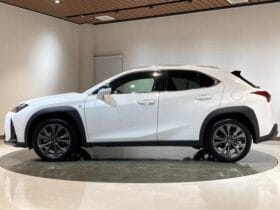 2023 LEXUS UX UX250H F SPORT #26887