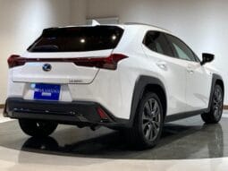 
										2023 LEXUS UX UX250H F SPORT #26887 full									