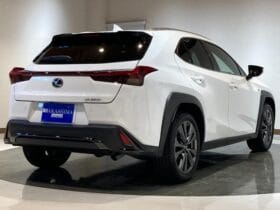 2023 LEXUS UX UX250H F SPORT #26887
