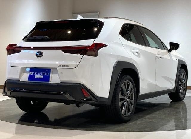 
								2023 LEXUS UX UX250H F SPORT #26887 full									