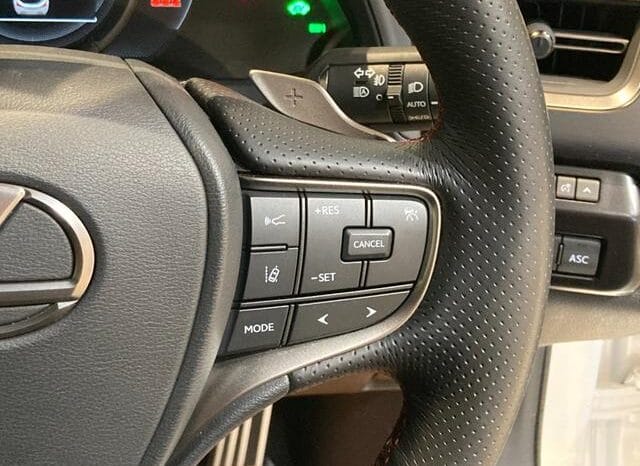 
								2023 LEXUS UX UX250H F SPORT #26887 full									