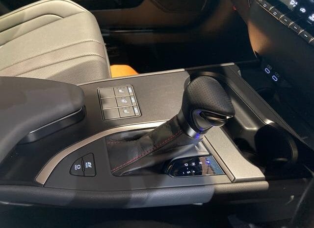 
								2023 LEXUS UX UX250H F SPORT #26887 full									