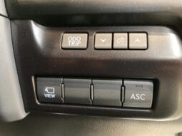 
										2023 LEXUS UX UX250H F SPORT #26887 full									