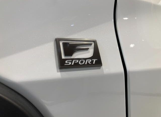 
								2023 LEXUS UX UX250H F SPORT #26887 full									