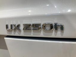 
										2023 LEXUS UX UX250H F SPORT #26887 full									
