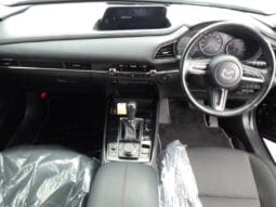 
										2023 MAZDA CX-30 20S BLACK TONE EDITION #268118 full									