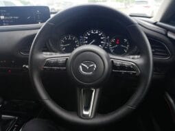 
										2025 MAZDA CX-30 20S RETRO SPORT EDITION #26890 full									