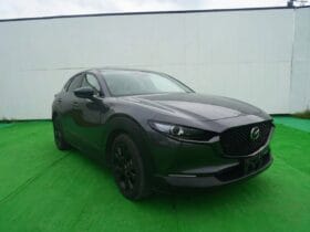 2025 MAZDA CX-30 20S RETRO SPORT EDITION #26890