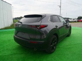 2025 MAZDA CX-30 20S RETRO SPORT EDITION #26890