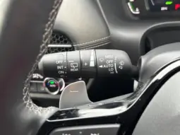 
										2024 HONDA ZR-V E:HEV Z full									