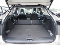 
										2023 NISSAN ARIYA B9 E-4ORCE LIMITED full									
