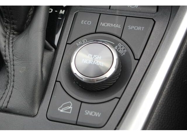 
								2023 TOYOTA RAV4 ADVENTURE full									
