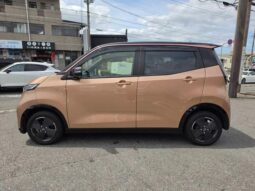 
										2023 NISSAN SAKURA X full									
