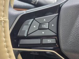 
										2023 NISSAN SAKURA X full									