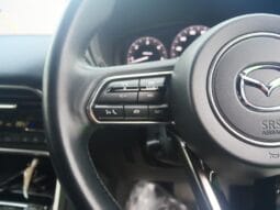 
										2022 MAZDA CX-60 XD HYBRID EXCLUSIVE SPORT full									