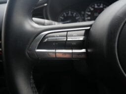 
										2021 MAZDA CX-30 20S BLACK TONE EDITION full									