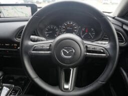 
										2021 MAZDA CX-30 20S BLACK TONE EDITION full									
