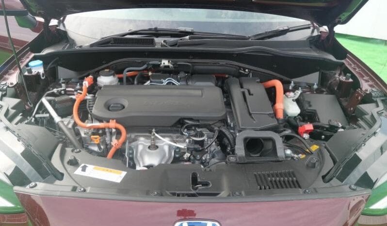 
								2025 HONDA ZR-V E-HEV Z PACKAGE full									