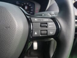 
										2025 HONDA ZR-V E-HEV Z PACKAGE full									