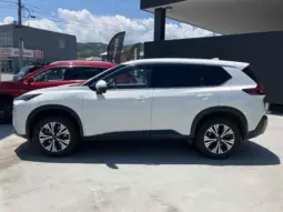 
										2023 NISSAN X-TRAIL X E-4ORCE full									