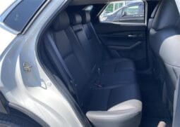 
										2023 MAZDA CX-30 XD PROACTIVE TOURING SELECTION full									