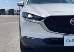
										2023 MAZDA CX-30 XD PROACTIVE TOURING SELECTION full									