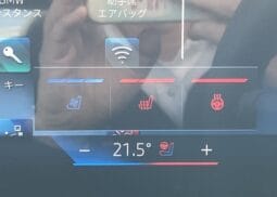 
										2025 BMW X7 X DRIVE 40D M SPORT full									