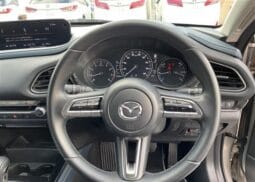 
										2023 MAZDA CX-30 20S PROACTIVE full									