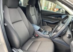 
										2023 MAZDA CX-30 20S PROACTIVE full									