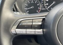 
										2023 MAZDA CX-30 20S PROACTIVE full									
