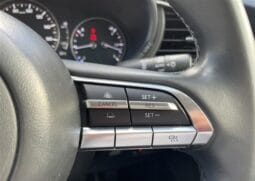
										2023 MAZDA CX-30 20S PROACTIVE full									