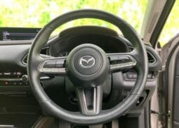 
										2023 MAZDA CX-30 XD PROACTIVE TOURING SELECTION full									