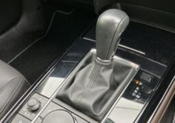 
										2023 MAZDA CX-30 XD PROACTIVE TOURING SELECTION full									