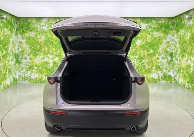 
								2023 MAZDA CX-30 XD PROACTIVE TOURING SELECTION full									
