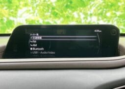 
										2023 MAZDA CX-30 XD PROACTIVE TOURING SELECTION full									