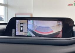 
										2023 MAZDA CX-30 20S PROACTIVE TOURING SELECTION full									