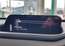 
										2023 MAZDA CX-30 20S PROACTIVE TOURING SELECTION full									